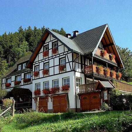 Lauras Landhauspension Medebach Exteriör bild