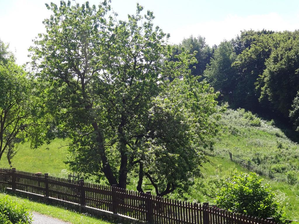 Lauras Landhauspension Medebach Exteriör bild